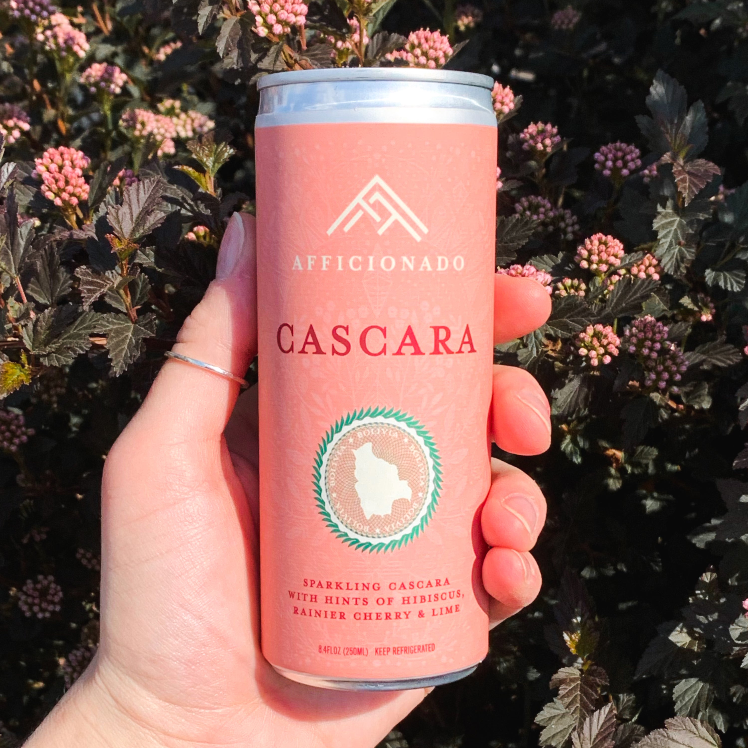 Afficionado Coffee Roasters Cascara, Sparkling Bolivian Cascara with hints of hibiscus, rainier cherry, and lime. Ready to drink 8.4oz can