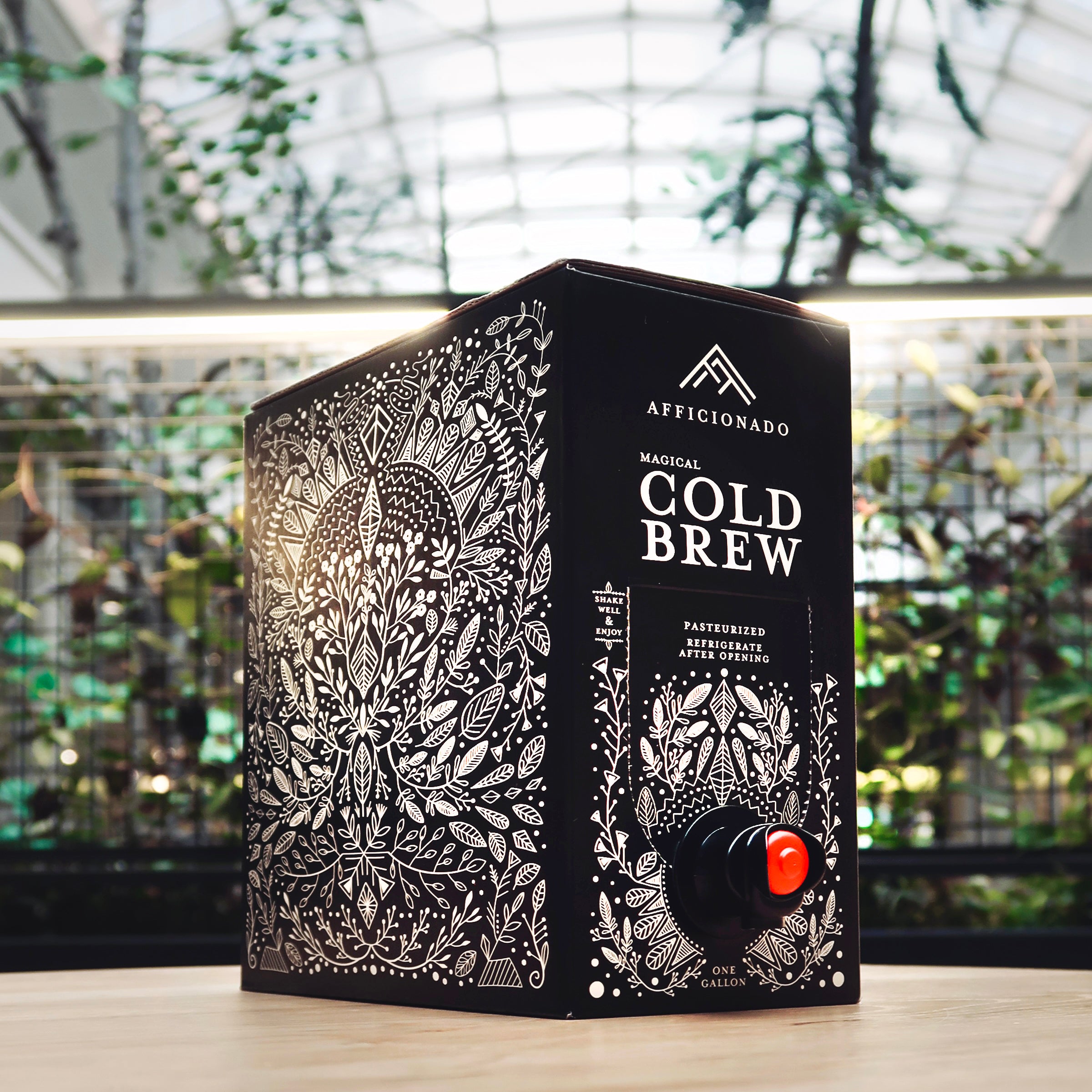 Magical Cold Brew Bag-in-Box (1G)