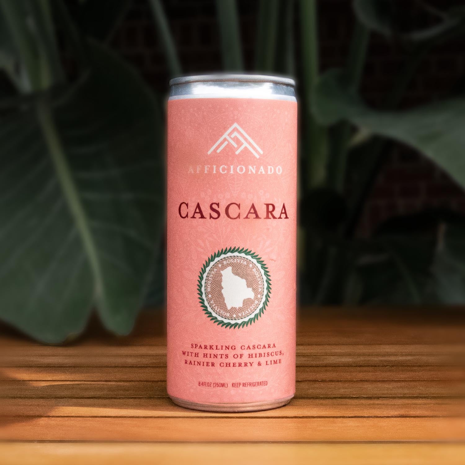 Cascara - 4 Pack
