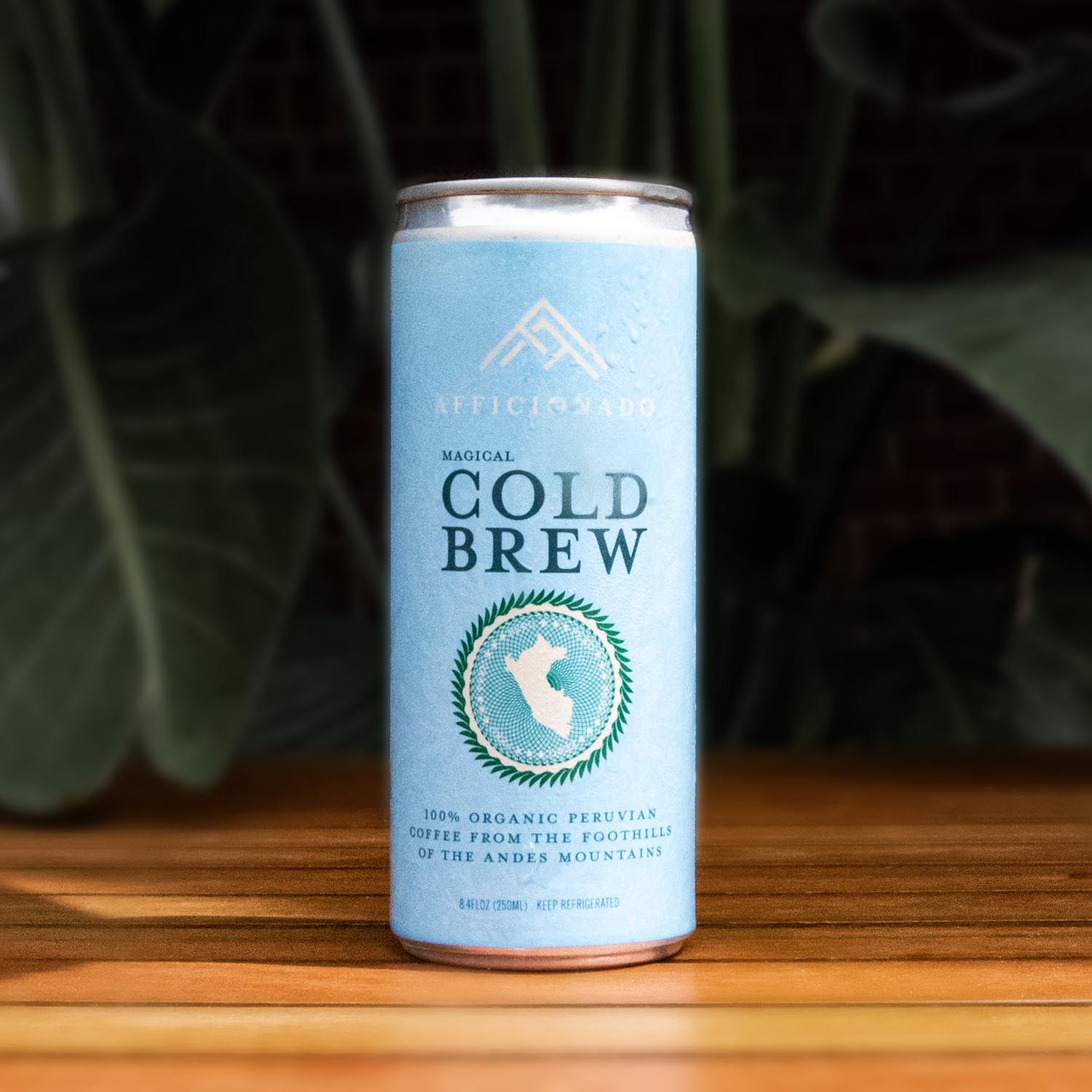 Magical Cold Brew - 4 Pack
