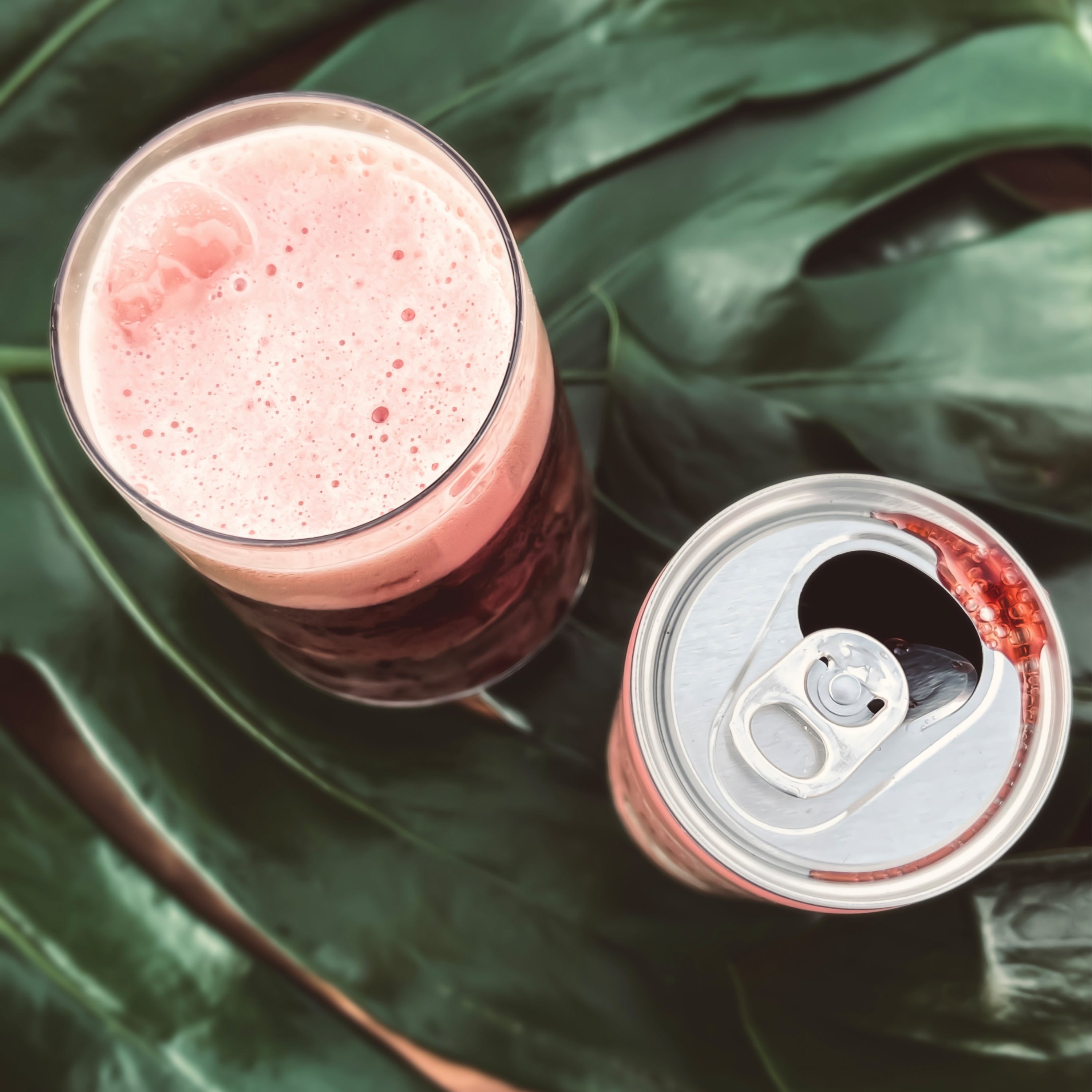 Afficionado Coffee Roasters Cascara, Sparkling Bolivian Cascara with hints of hibiscus, rainier cherry, and lime. Ready to drink 8.4oz can, foamy, delicious