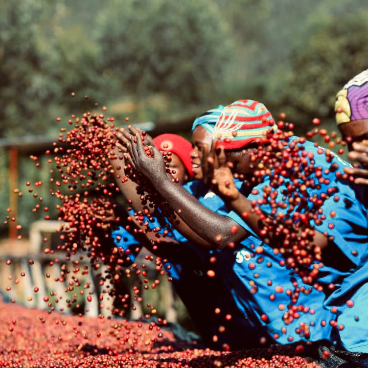 Rwanda Fugi