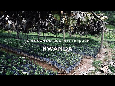 Rwanda Fugi